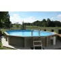 Piscina Naturalis Oval 787x472 cm