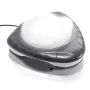 Luz Led 4 Cores Magnética para Piscinas Intex 28698