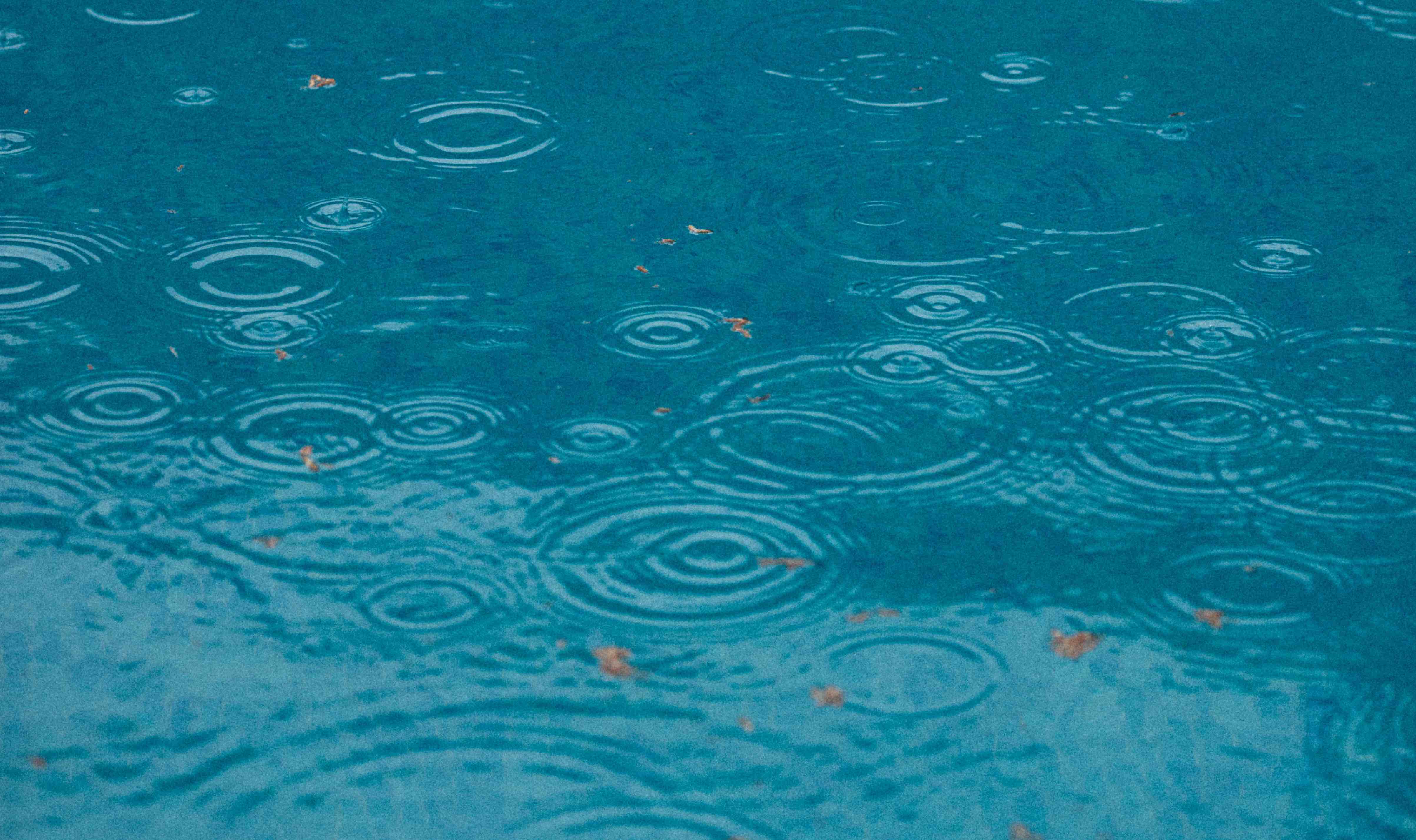 Como proteger a sua piscina da chuva?