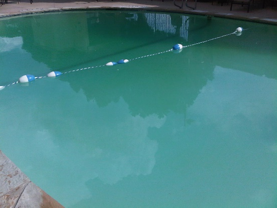 A água da minha piscina está suja, o que devo fazer?